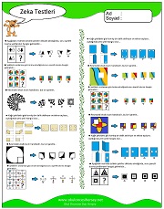 Zeka Gelişim Testleri